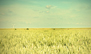 fotocommunity